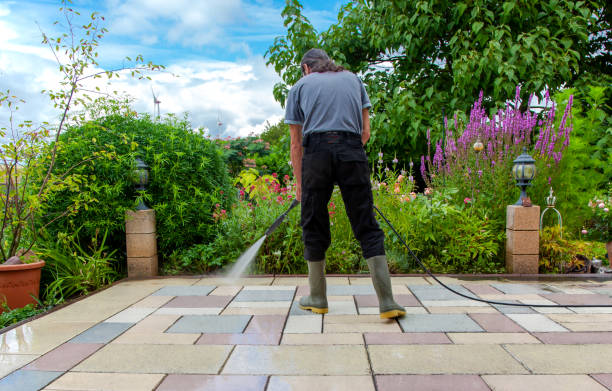 Best Animal Enclosure Cleaning  in Medina, TX