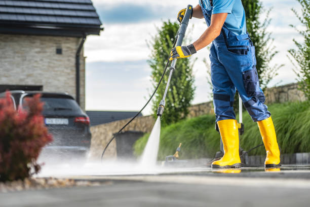 Best Solar Panel Cleaning  in Medina, TX
